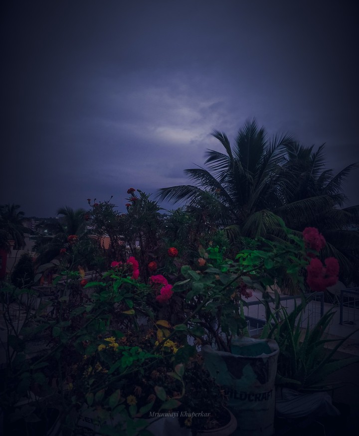 rainy day
