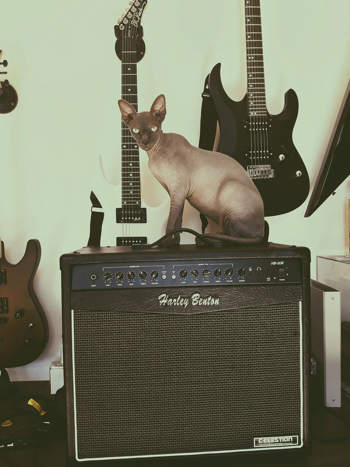 klaus