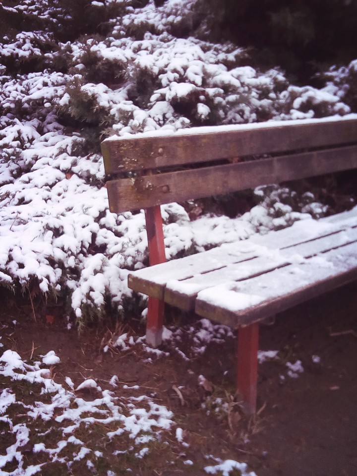 parco d'inverno
