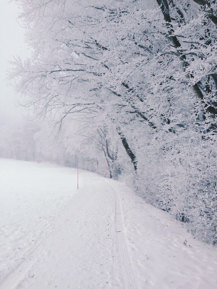 winter