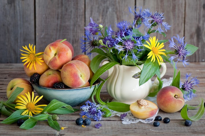 stillife