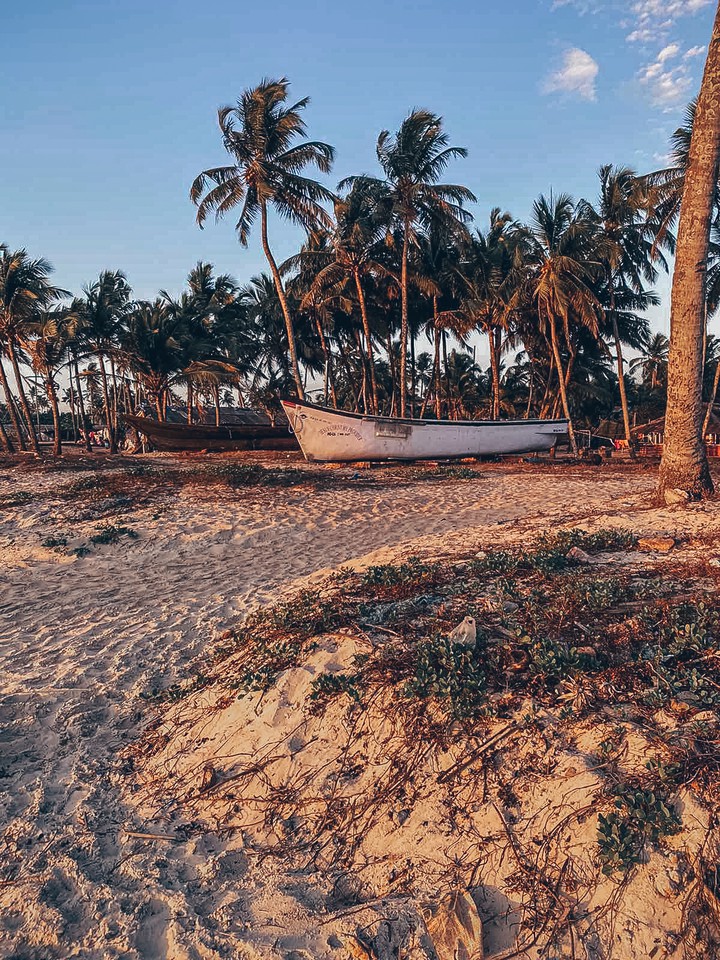 Boat trip