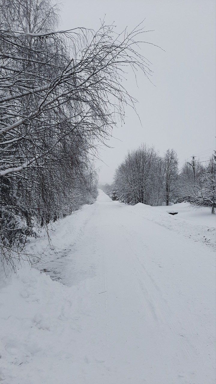 Дорога в даль