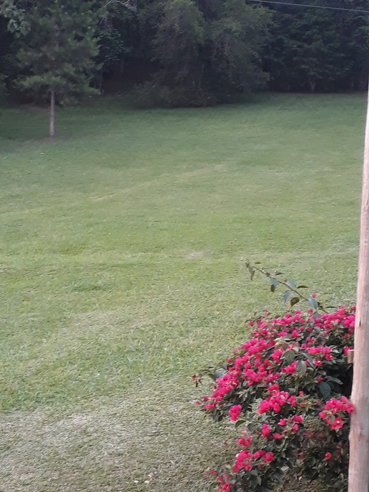Paisagem campo