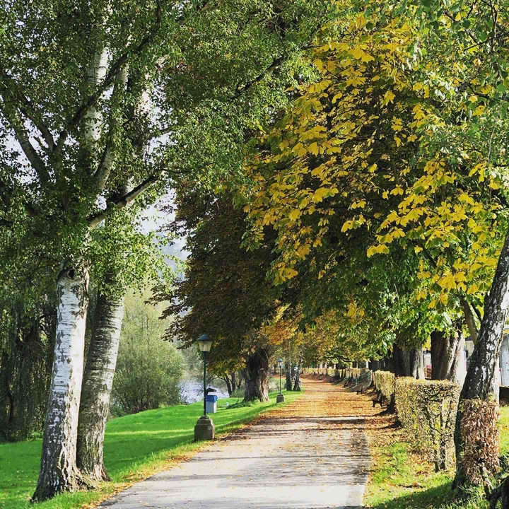 Echternach Alley, Luxembourg