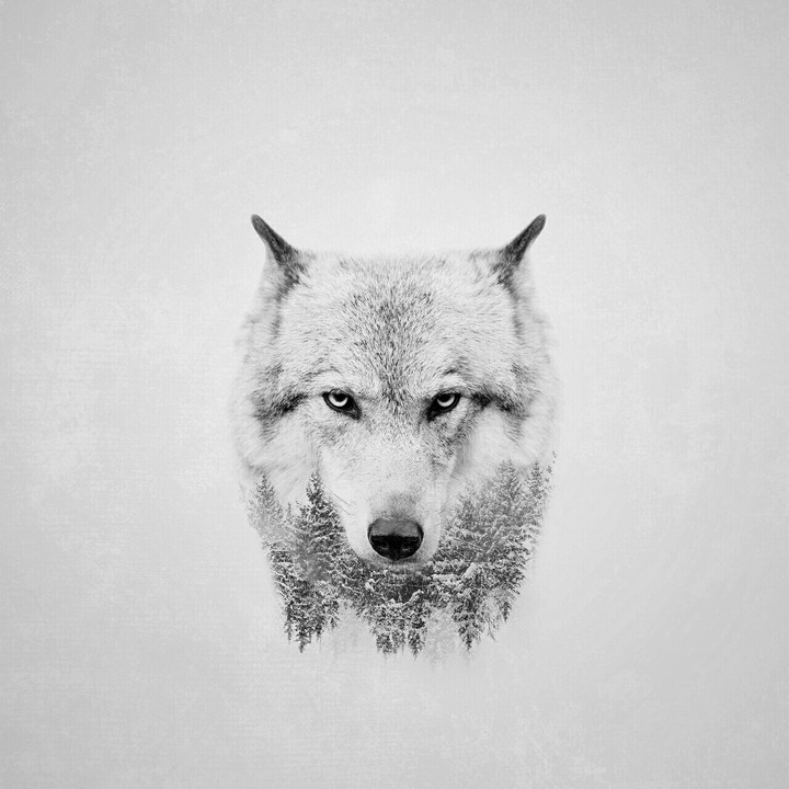 Lonewolf