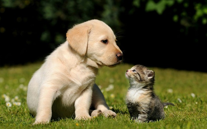 ever friends