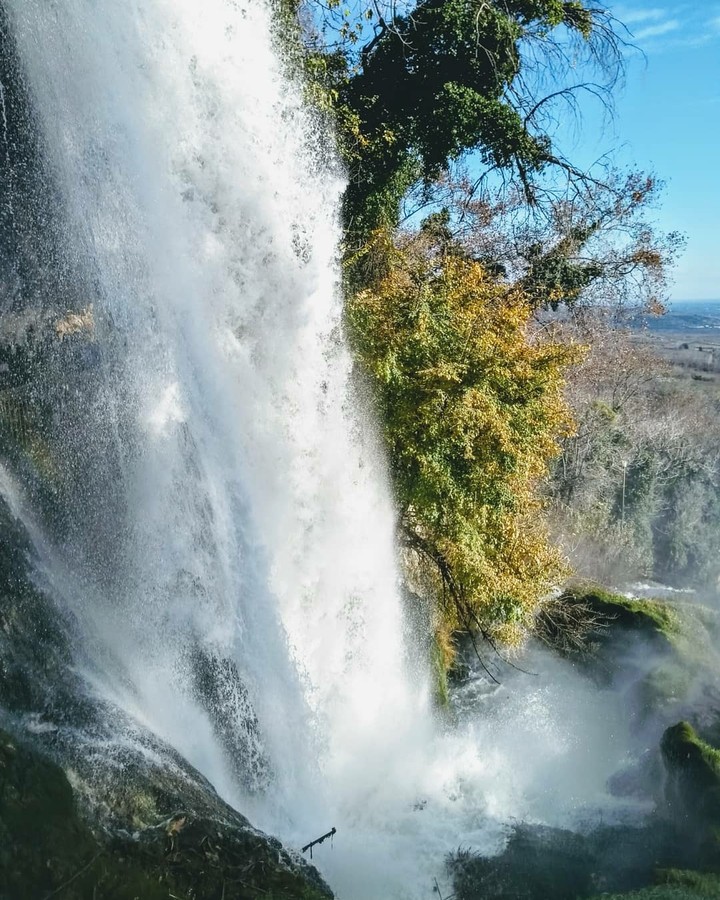 Force of Nature