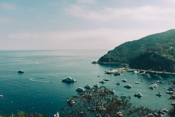카타리나 항구