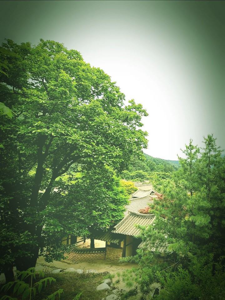 풍경