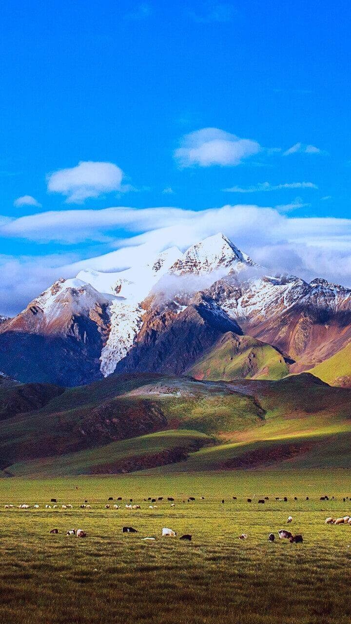 mountain