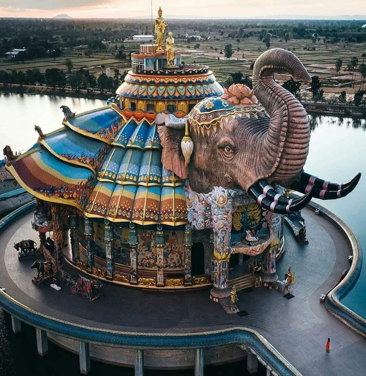 elephant