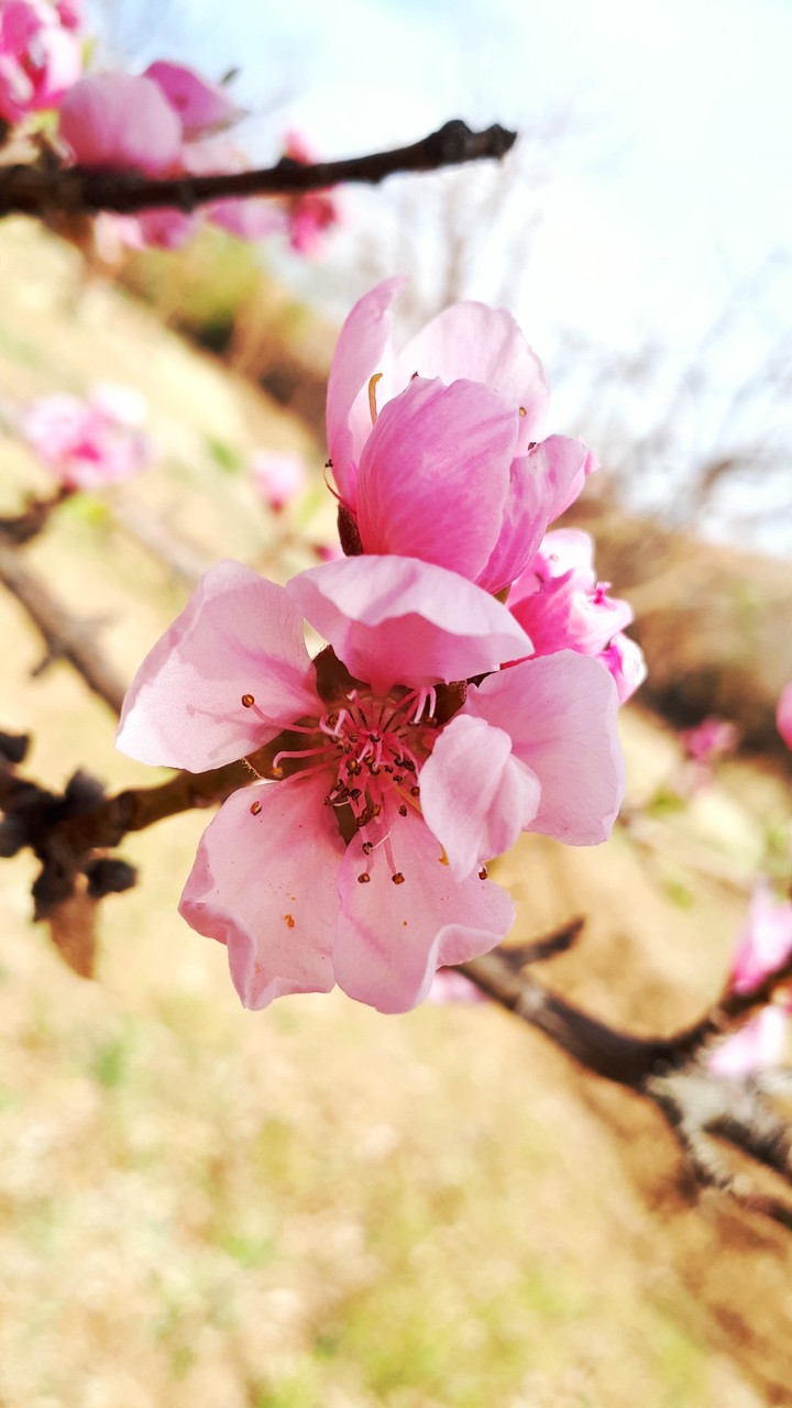 photo by me