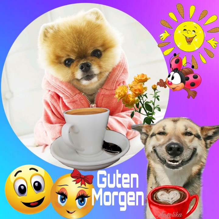Guten Morgen