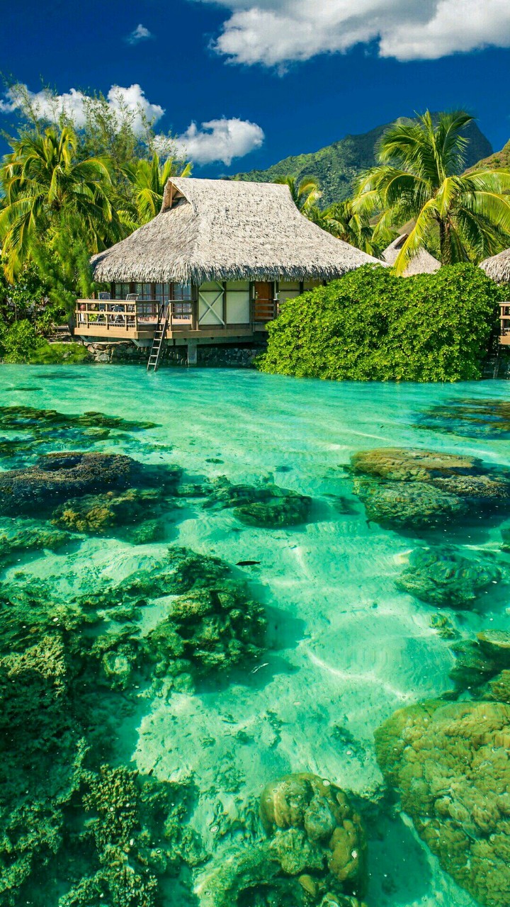 Maldives