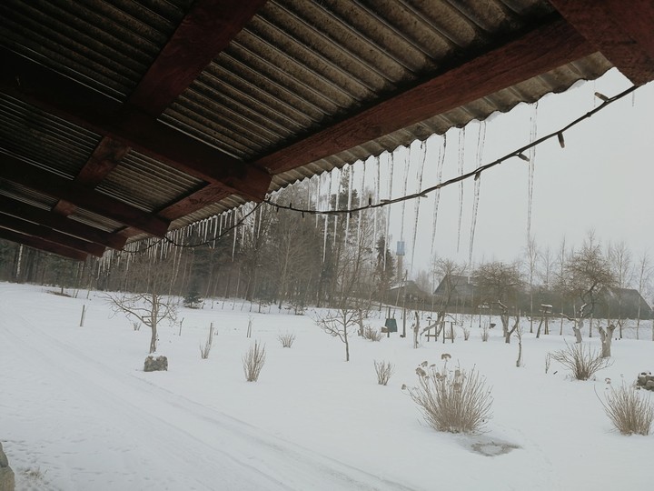 winter