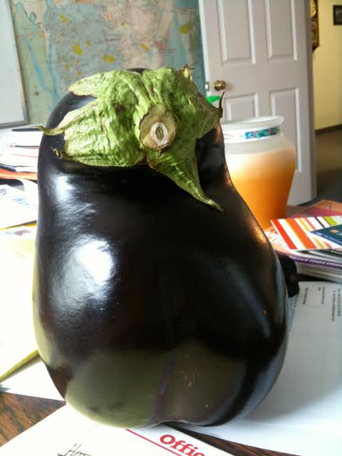 egg plant
