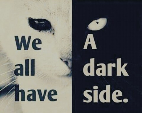 dark side