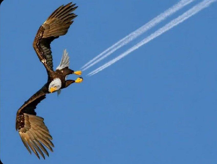 EAGL