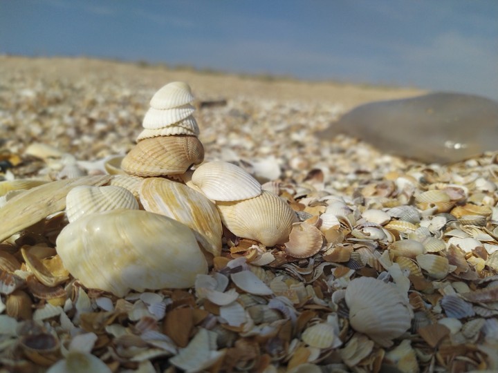 Море