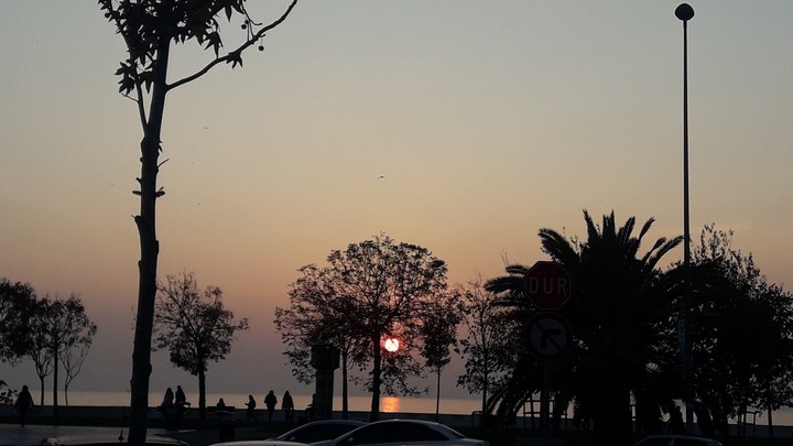 sunset