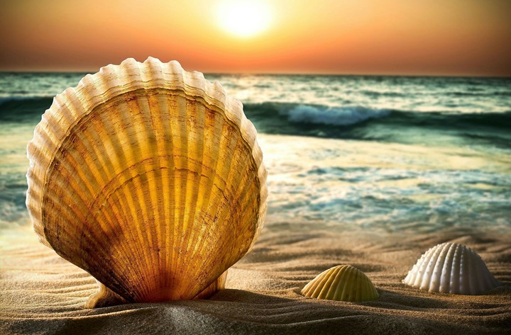 Against the sea