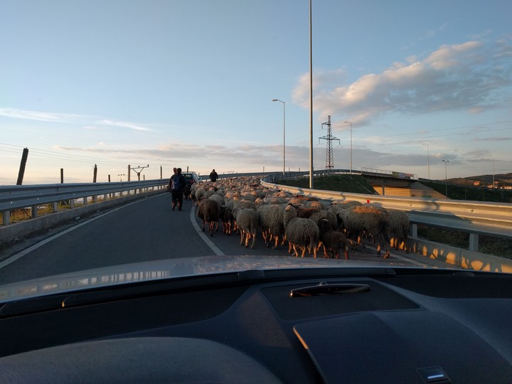 traffic