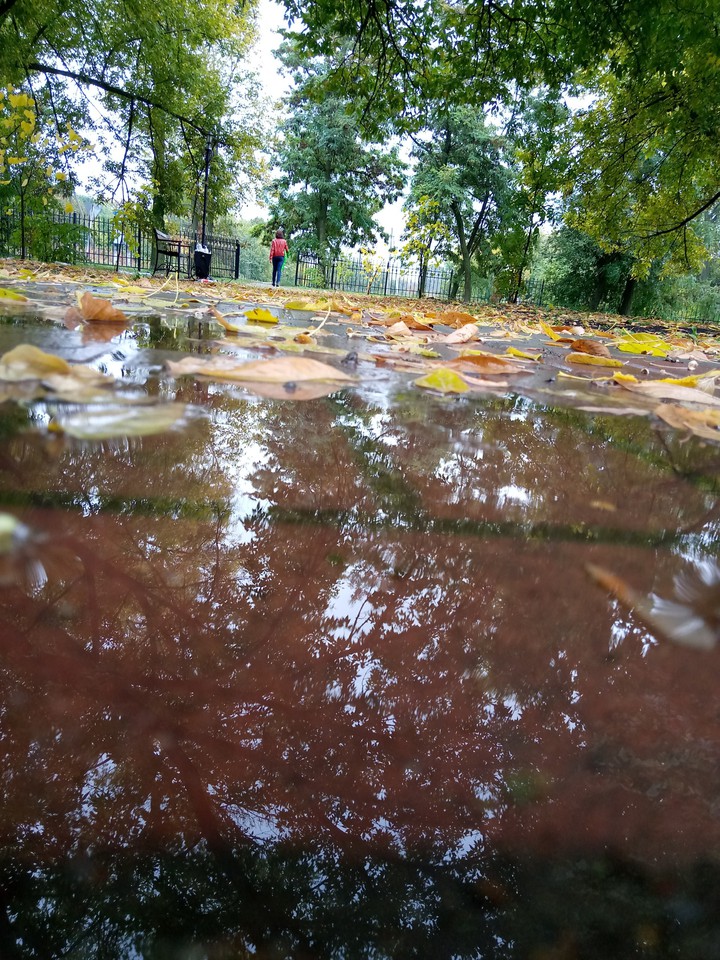 Осень