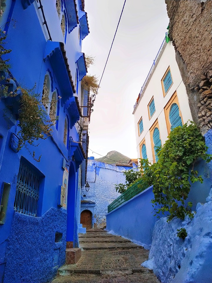 bluecity