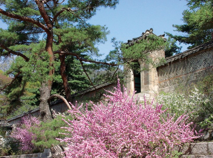 풍경이미지