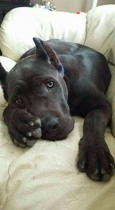 ♥️♥️♥️