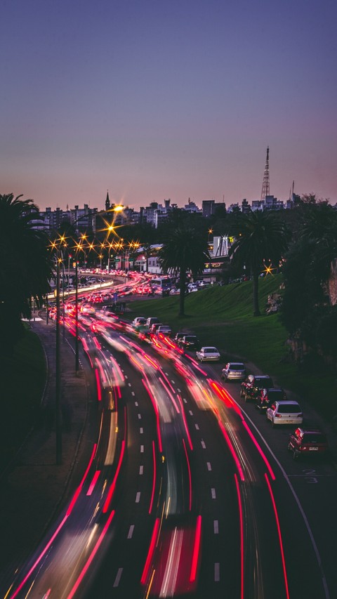 cars jungle...