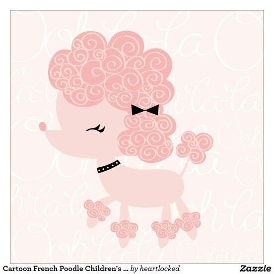 Toy poodle