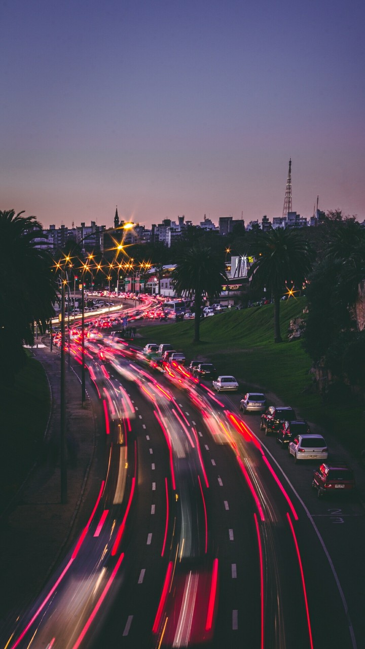 cars jungle...