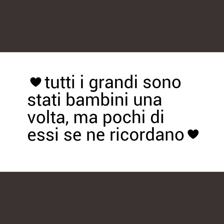 • il piccolo principe •