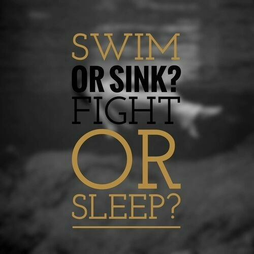 fight or sleep