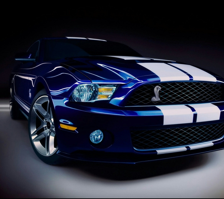 Shelby gt500