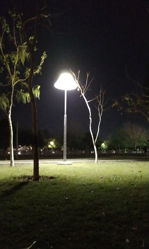 Night at park