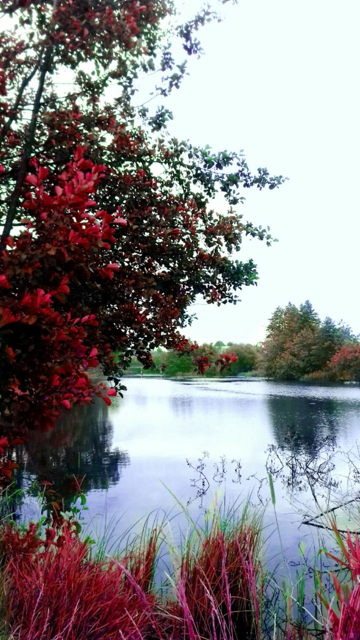 River