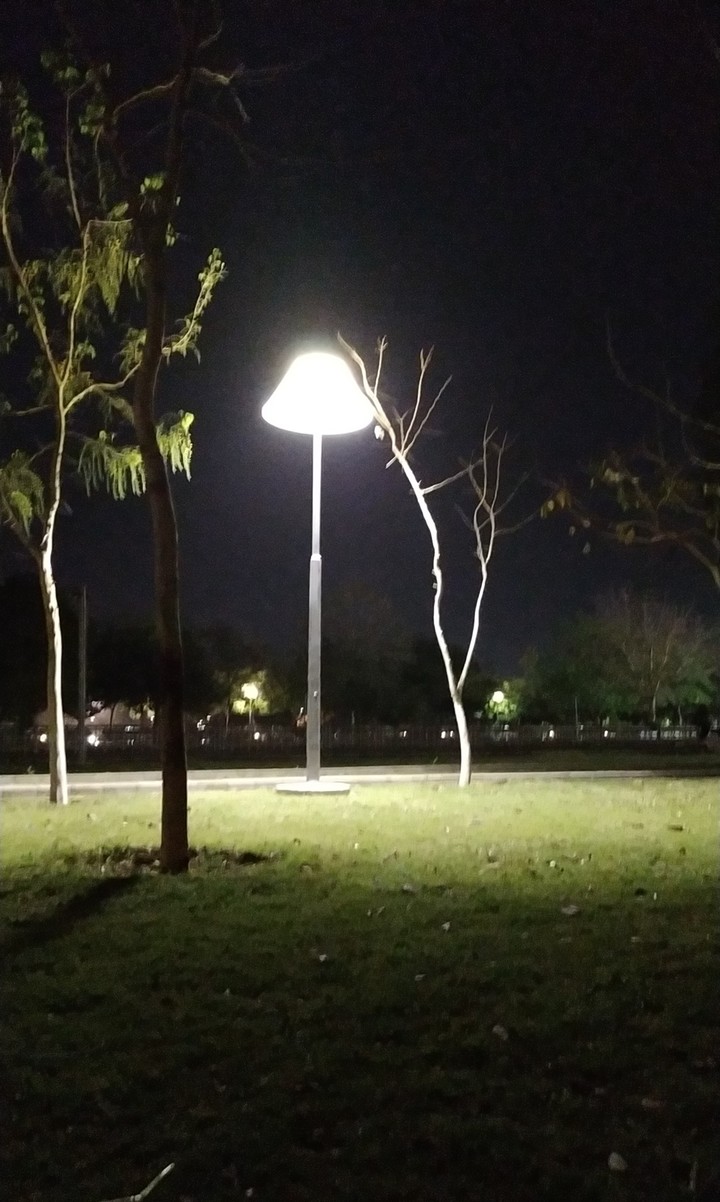 Night at park