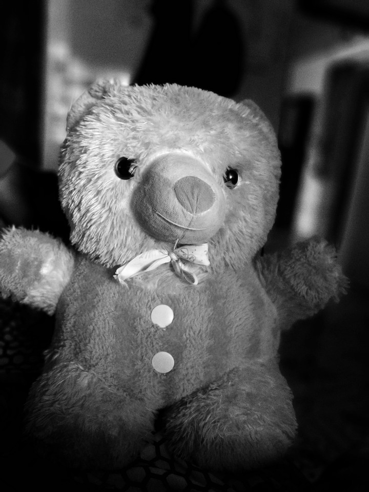 Teddy