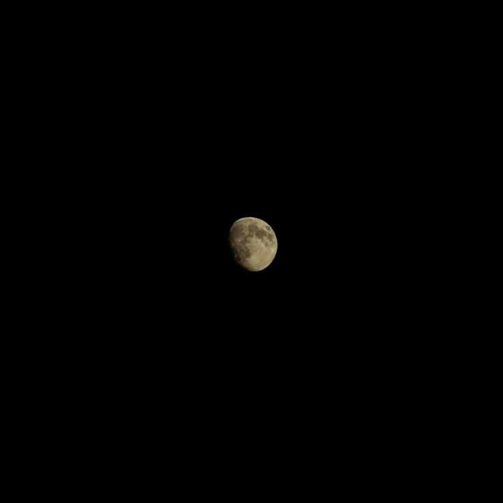 the moon