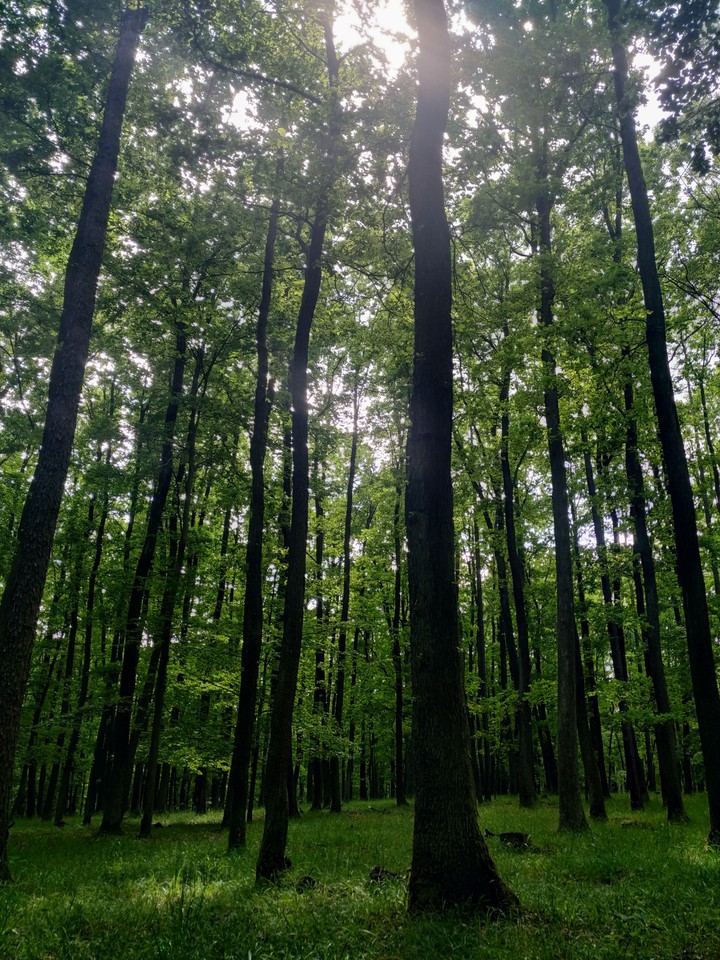 chriby mountains