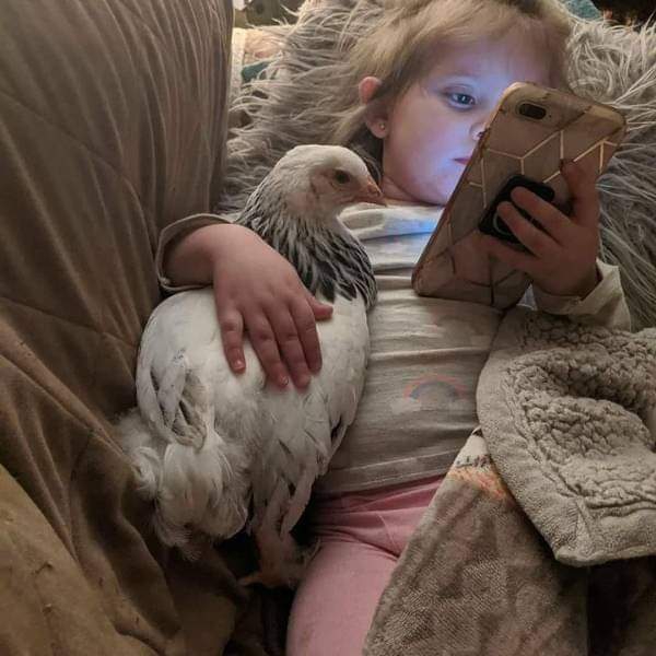 ❤❤❤