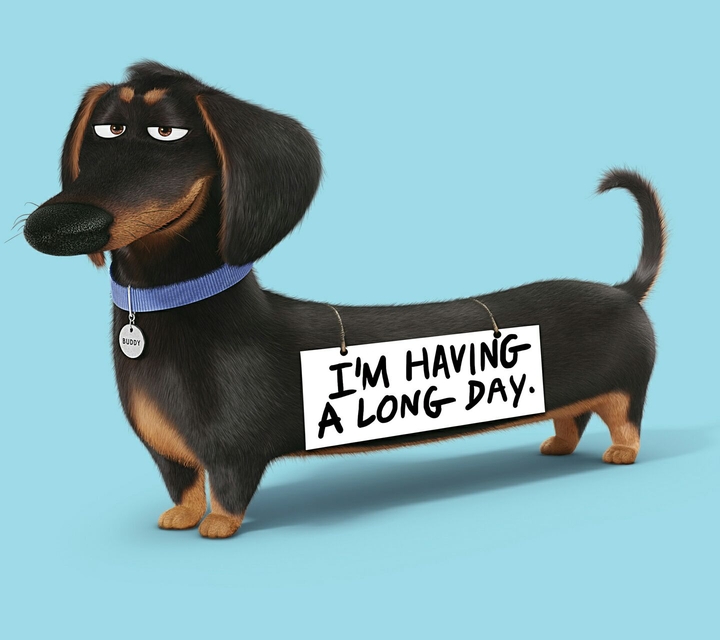 A Long Day