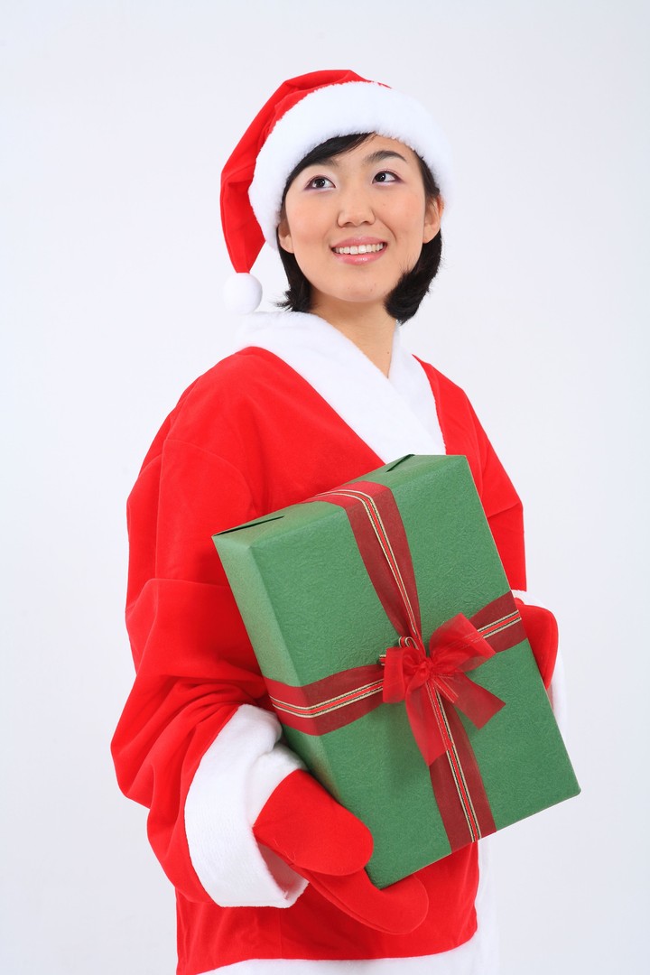 Christmas Costume