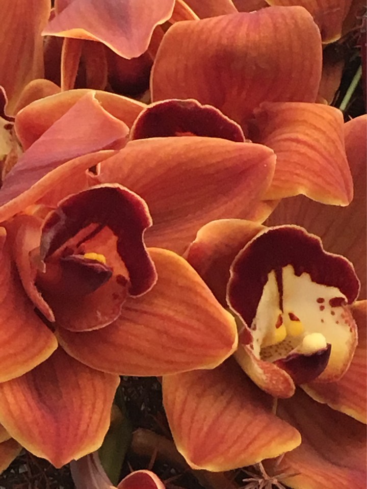 florart