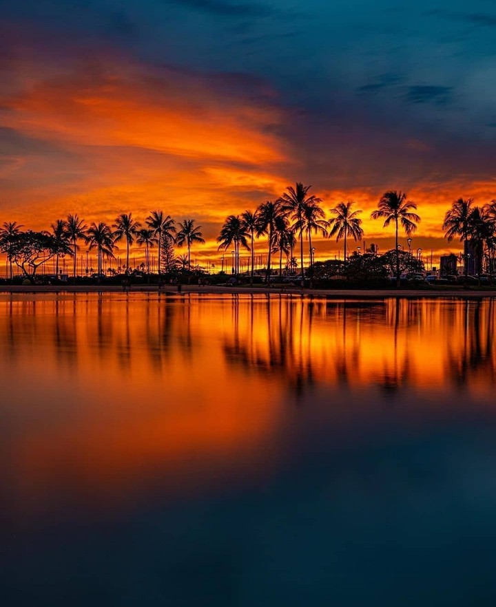 Nature's Beauty
