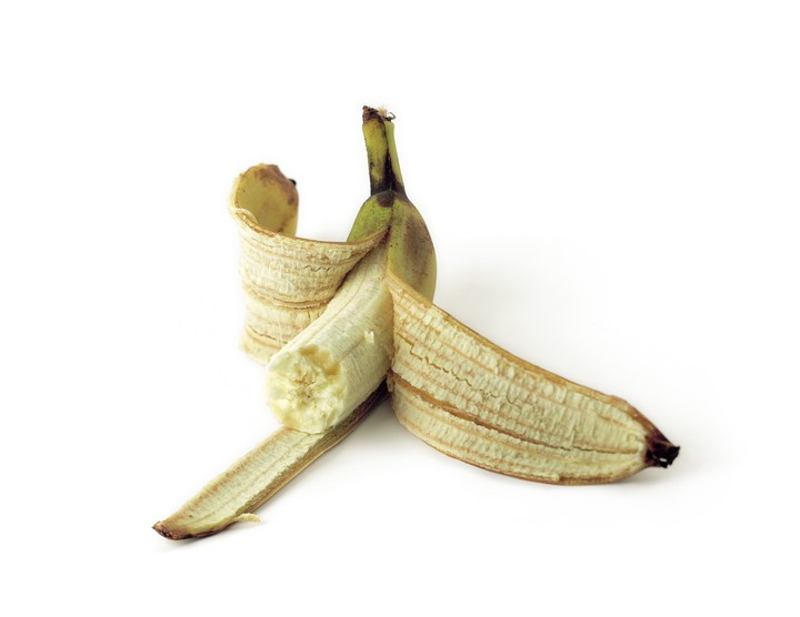 음식이미지