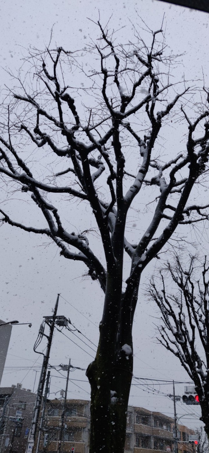 withered